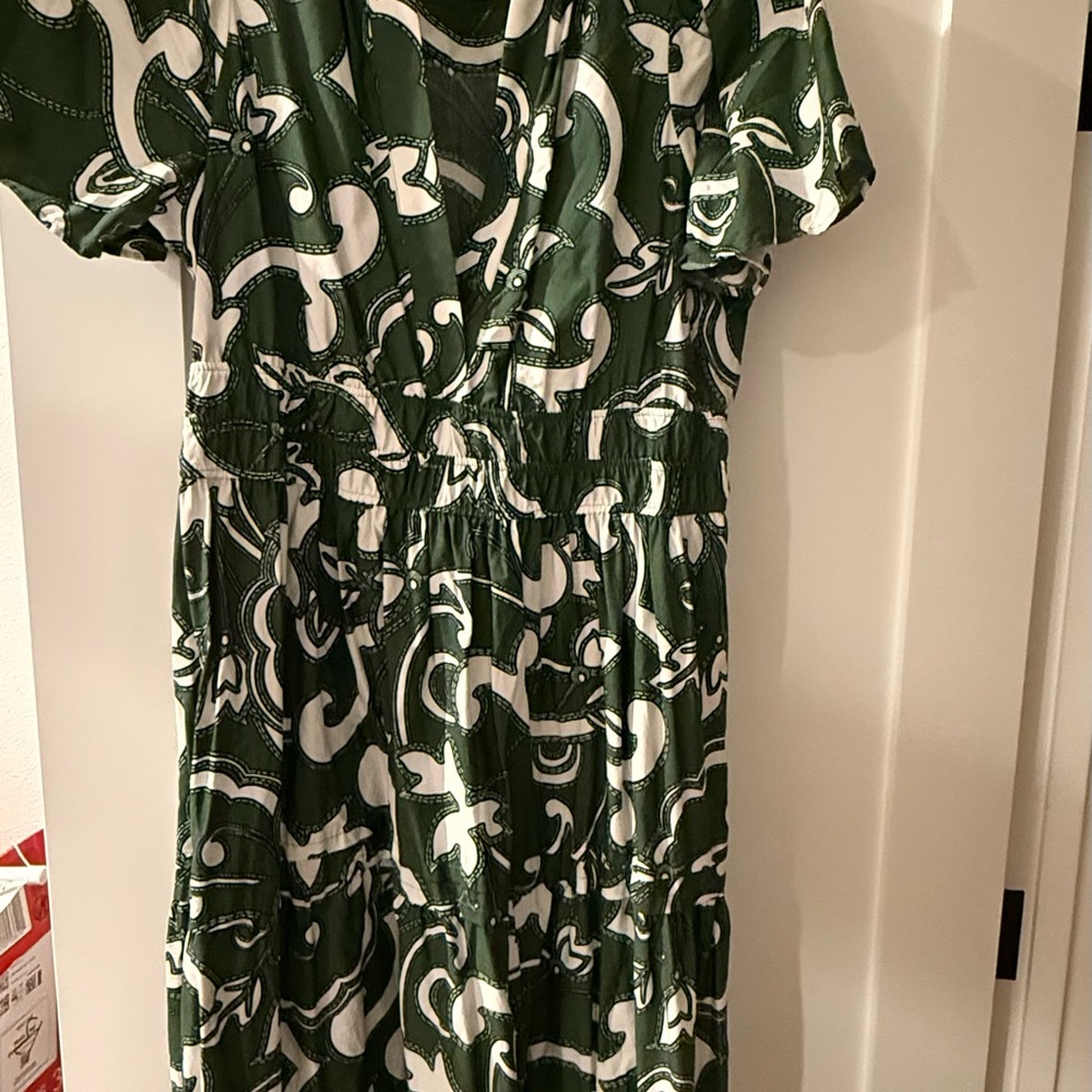 Anthropologie Green and White Printed Maxi Dress
